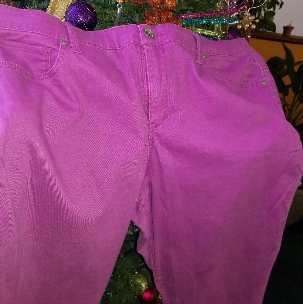 Fuchsia Pants